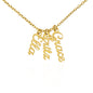 Keep Your Babies Close to Your Heart | Customized Names Necklace