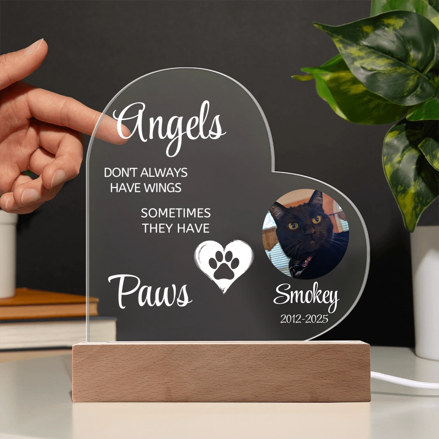 Light Up Pet Memorial Gift • LED Pet Frame • Pet Memorial Keepsake • Pet Bereavement Gift • Pet Loss Sympathy Gift